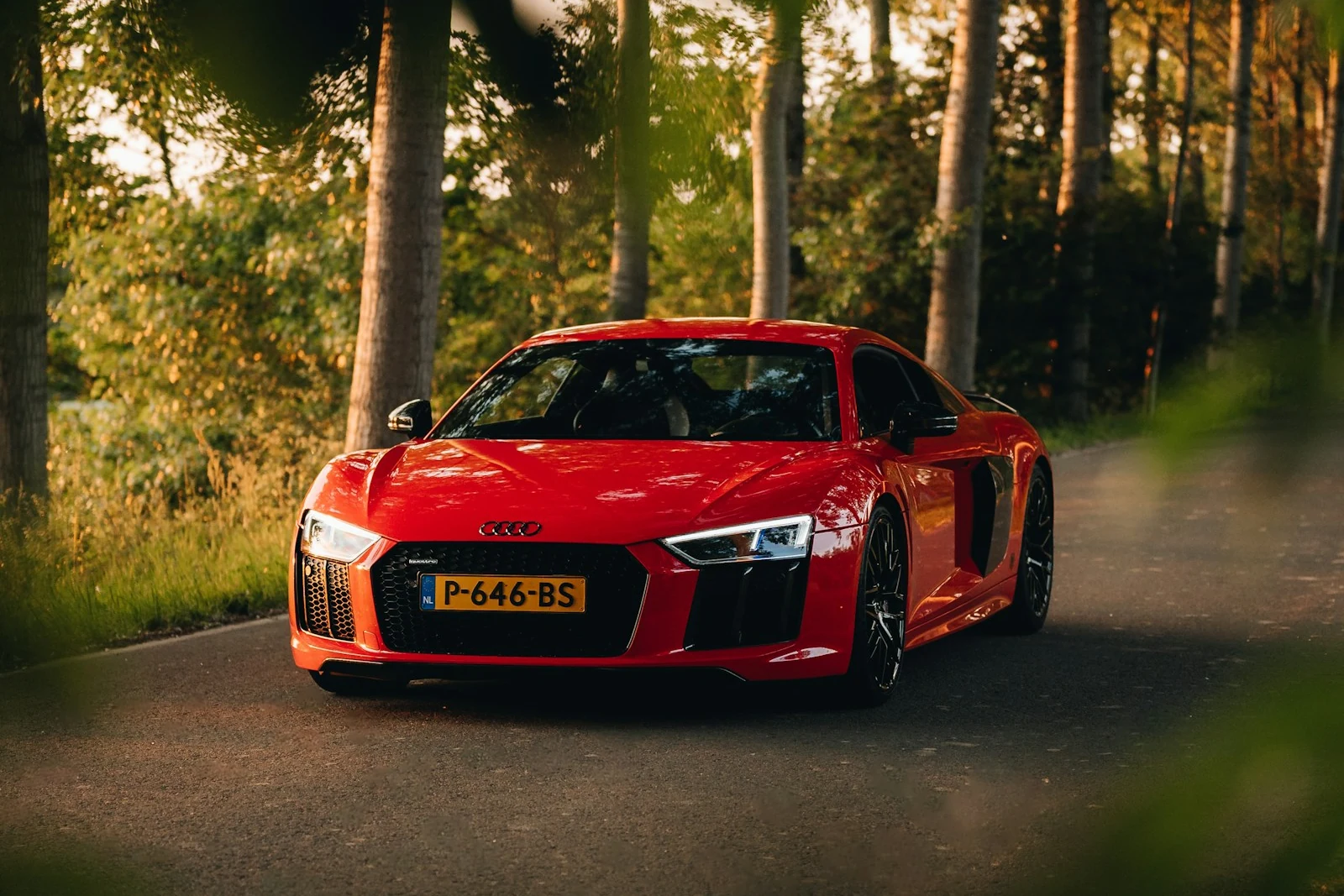 Красный Audi R8 на дороге среди леса
