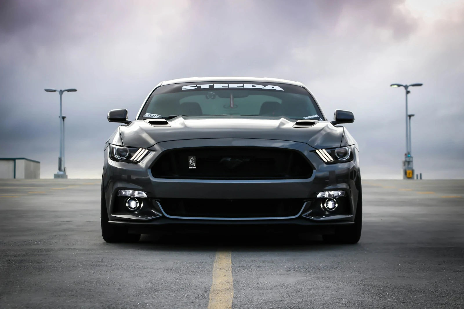 Тёмный Ford Mustang, вид спереди на асфальтовой площадке
